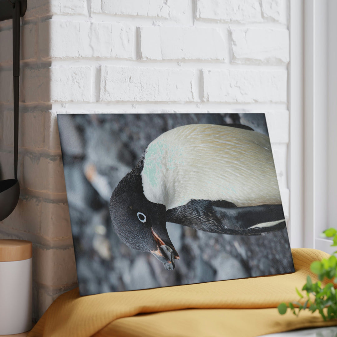 A Penguin's Pebble - Glass Cutting Board - Visiting This World