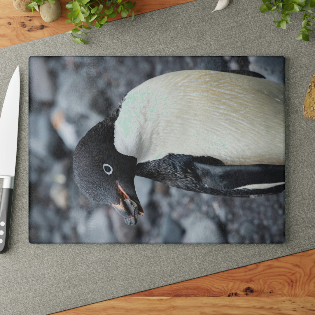 A Penguin's Pebble - Glass Cutting Board - Visiting This World