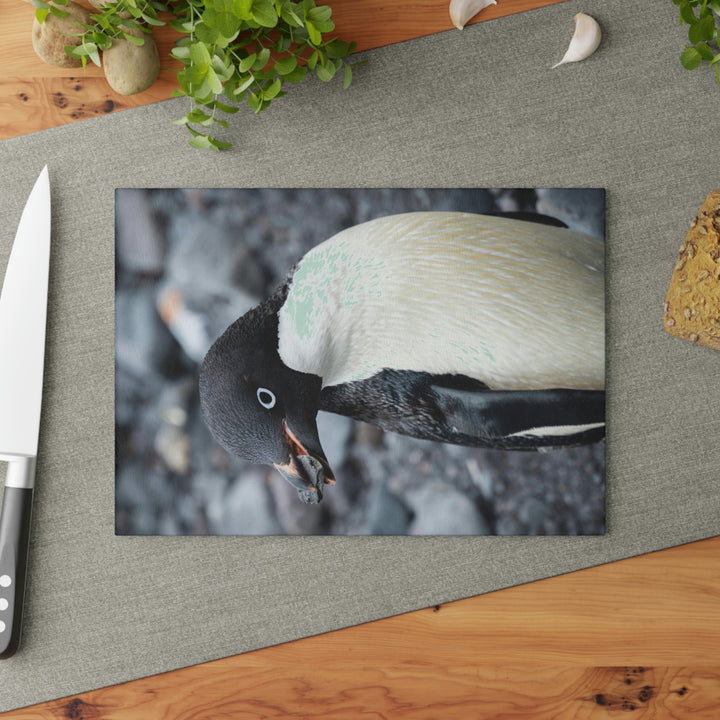 A Penguin's Pebble - Glass Cutting Board - Visiting This World