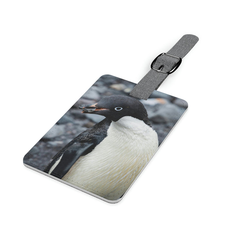 A Penguin's Pebble - Luggage Tag - Visiting This World