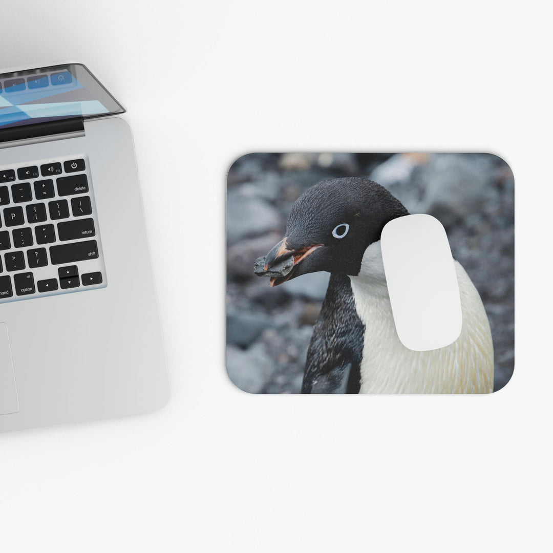 A Penguin's Pebble - Mouse Pad (Rectangle) - Visiting This World