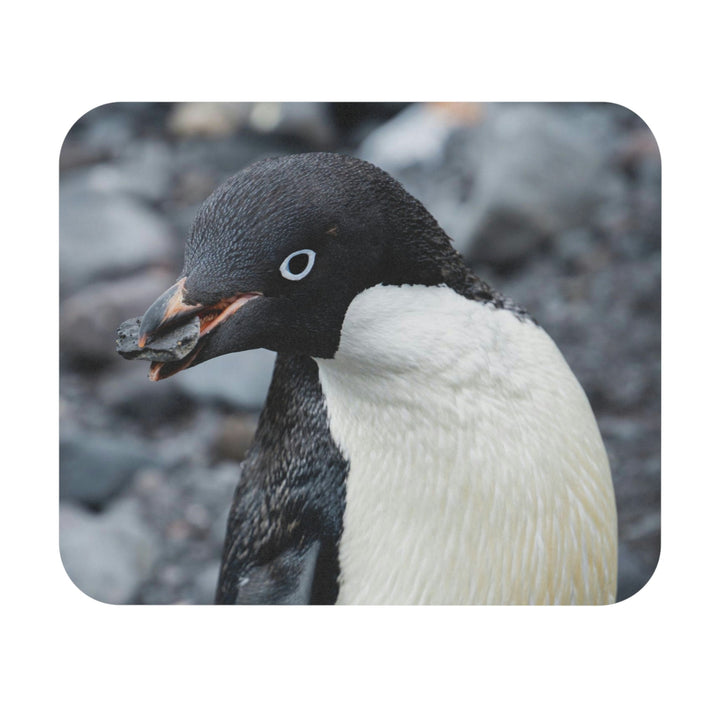 A Penguin's Pebble - Mouse Pad (Rectangle) - Visiting This World