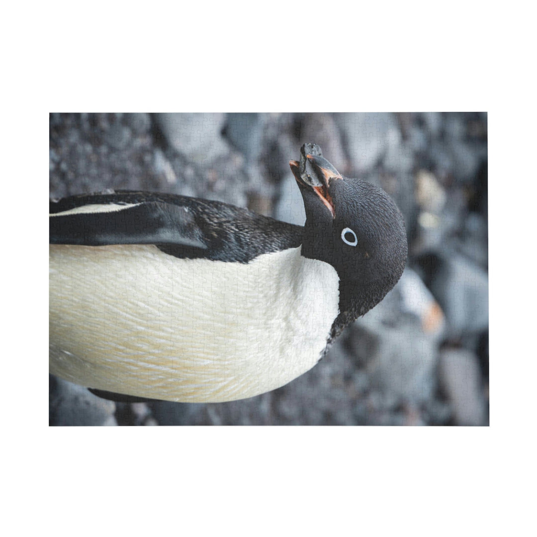 A Penguin's Pebble - Nature Puzzle (96, 252, 500, 1000-Piece) - Visiting This World