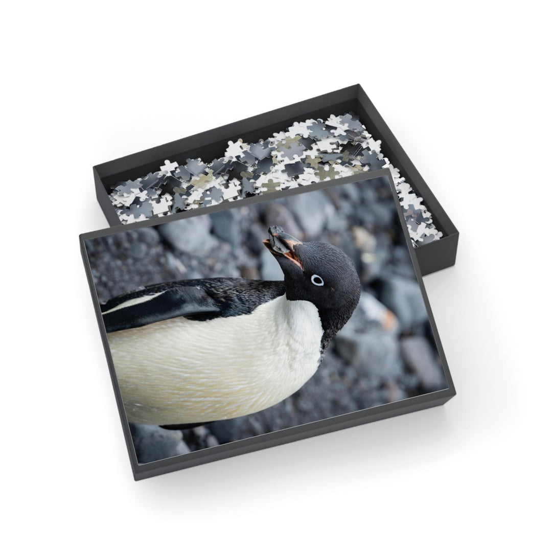 A Penguin's Pebble - Nature Puzzle (96, 252, 500, 1000-Piece) - Visiting This World