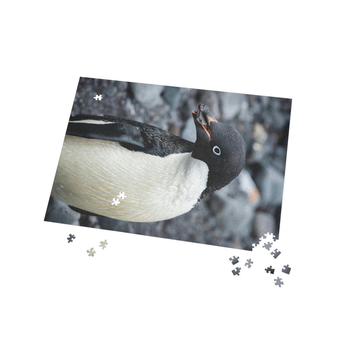 A Penguin's Pebble - Nature Puzzle (96, 252, 500, 1000-Piece) - Visiting This World