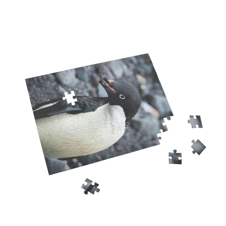 A Penguin's Pebble - Nature Puzzle (96, 252, 500, 1000-Piece) - Visiting This World