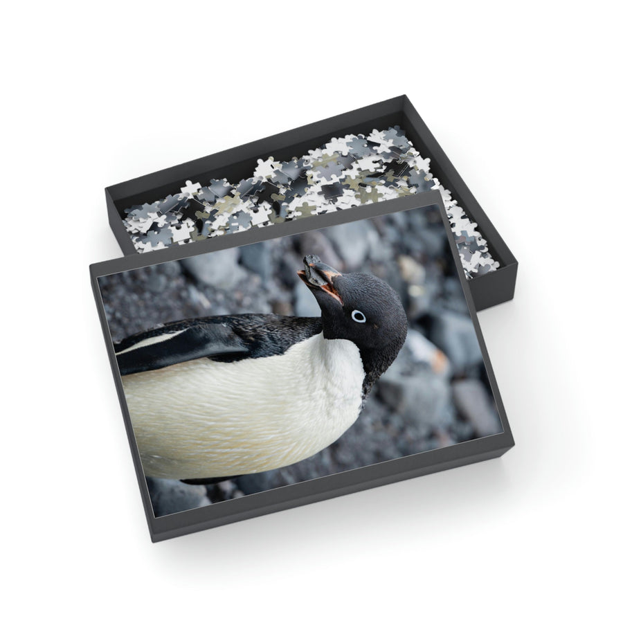 A Penguin's Pebble - Nature Puzzle (96, 252, 500, 1000-Piece) - Visiting This World