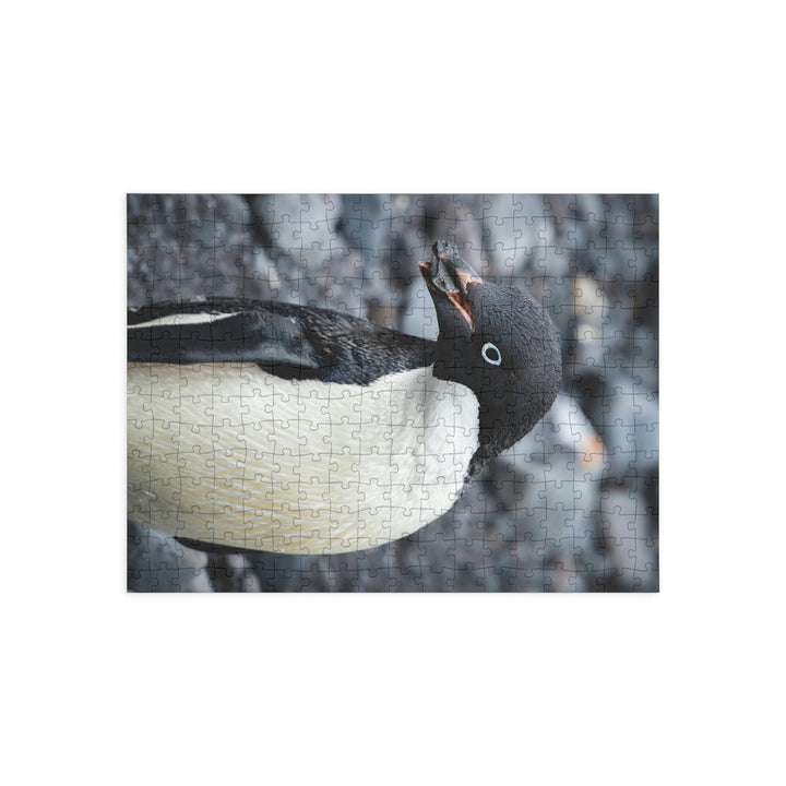 A Penguin's Pebble - Nature Puzzle (96, 252, 500, 1000-Piece) - Visiting This World