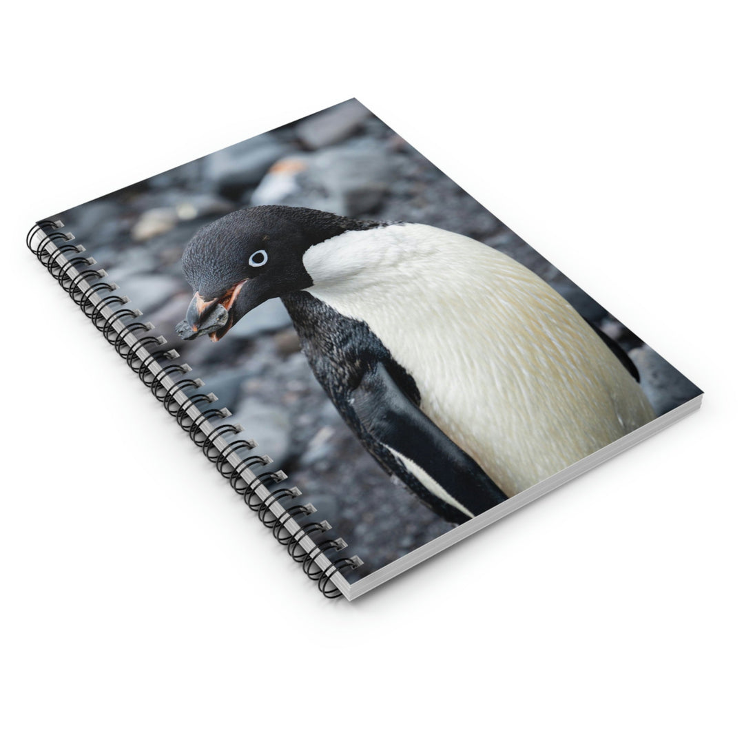 A Penguin's Pebble - Spiral Ruled Line Notebook - Visiting This World