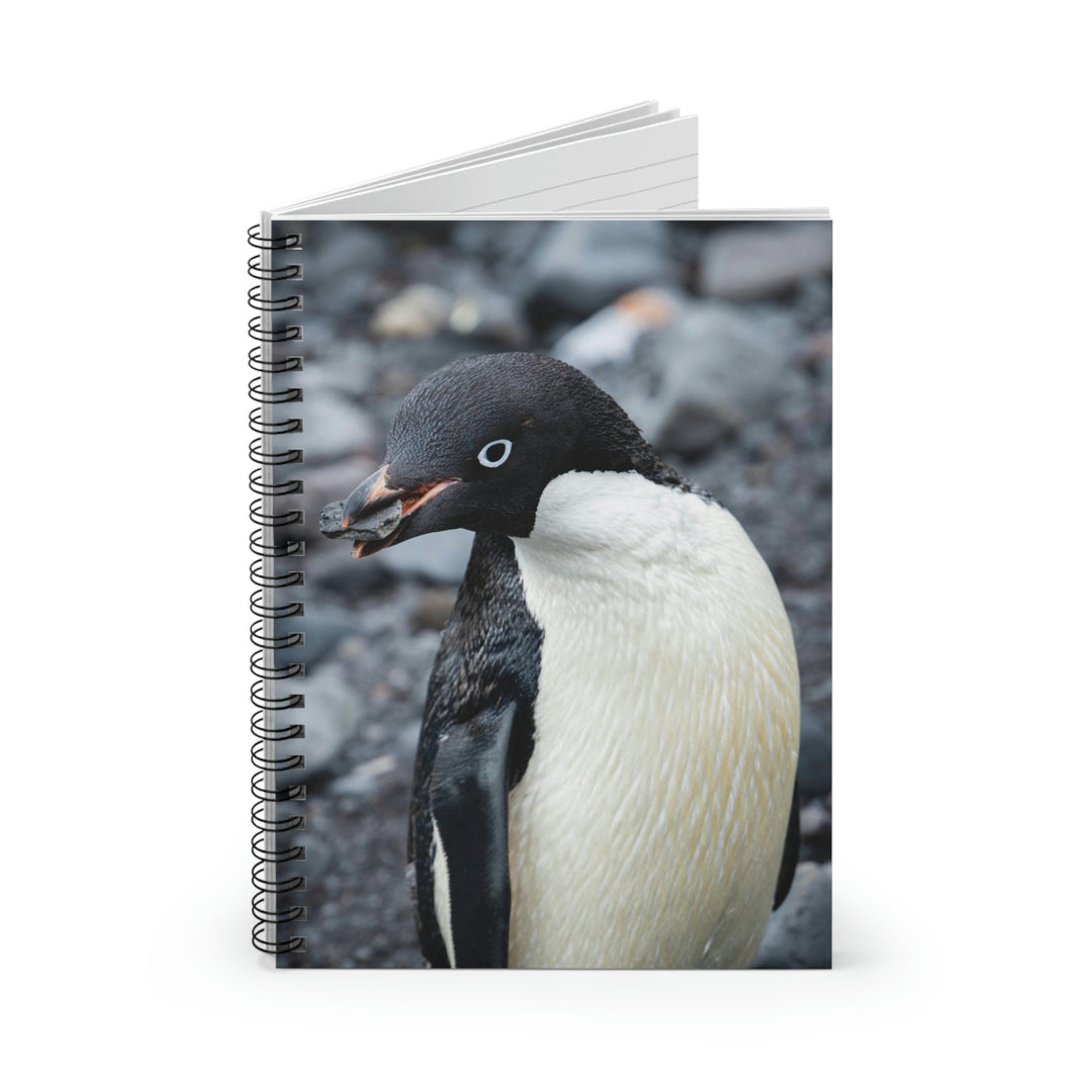 A Penguin's Pebble - Spiral Ruled Line Notebook - Visiting This World