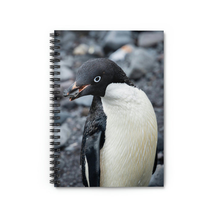 A Penguin's Pebble - Spiral Ruled Line Notebook - Visiting This World