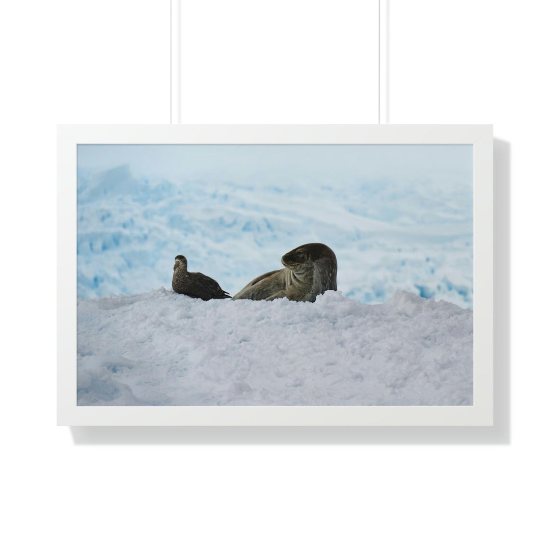 A Resting Pair - Framed Print - Visiting This World