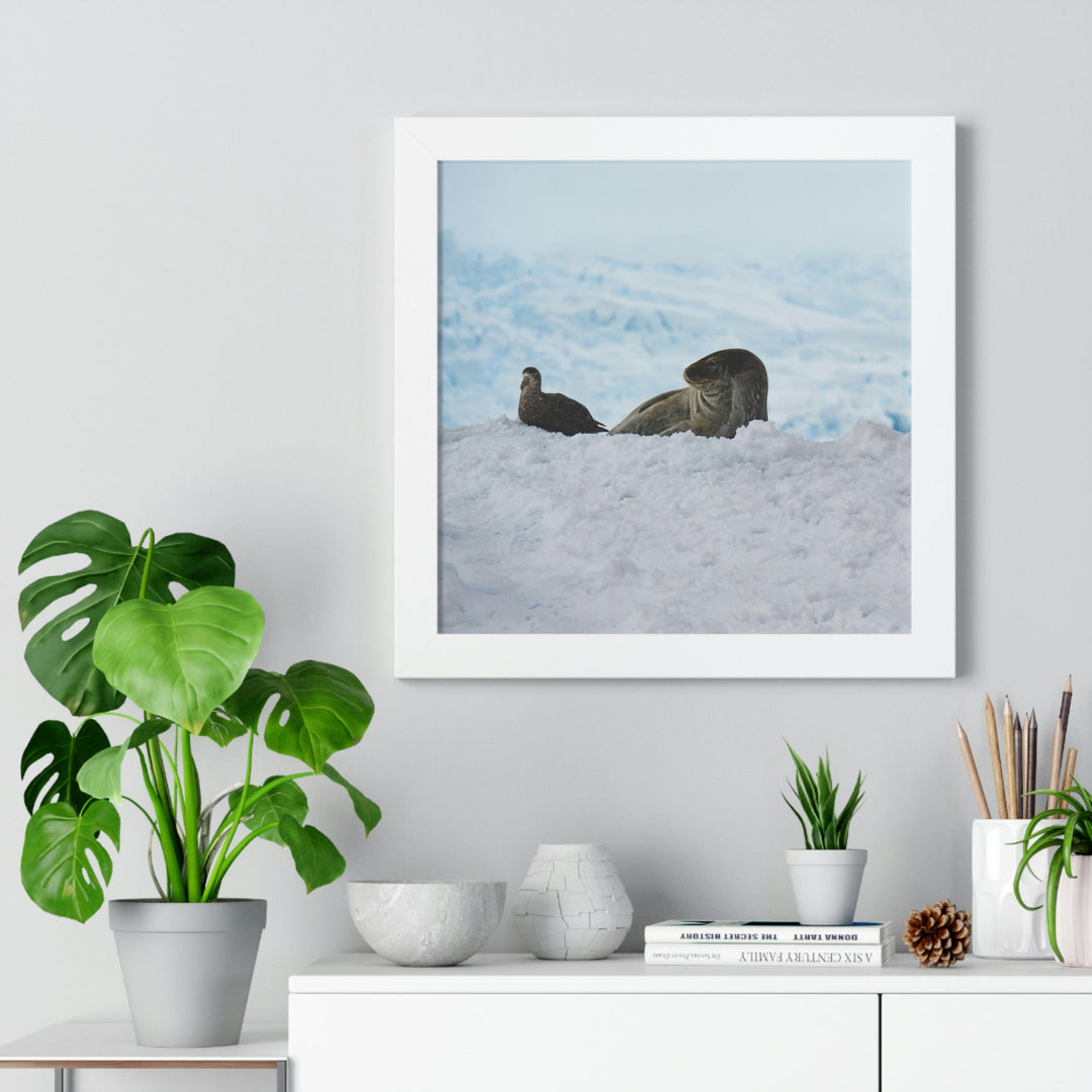 A Resting Pair - Framed Print - Visiting This World