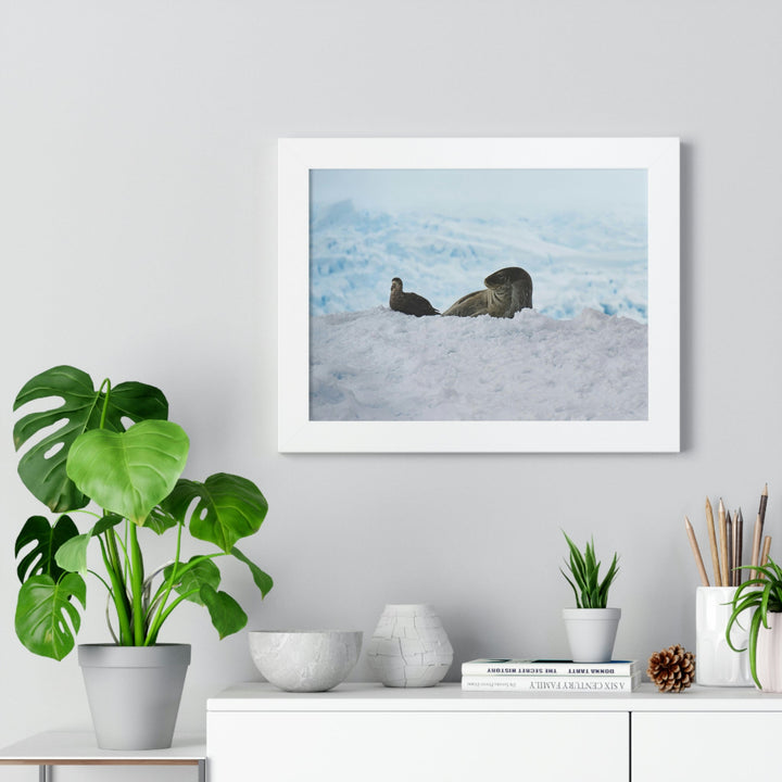 A Resting Pair - Framed Print - Visiting This World