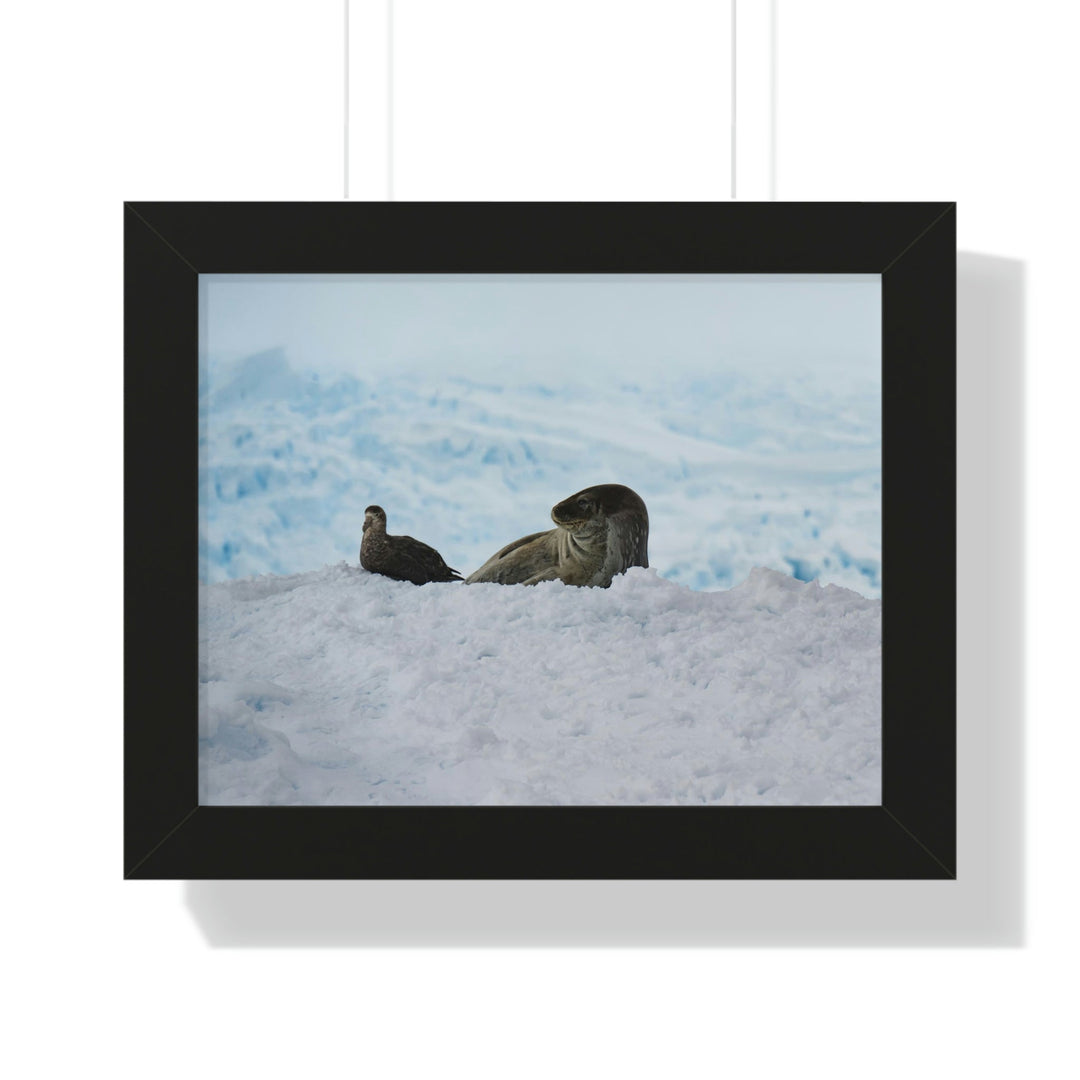 A Resting Pair - Framed Print - Visiting This World