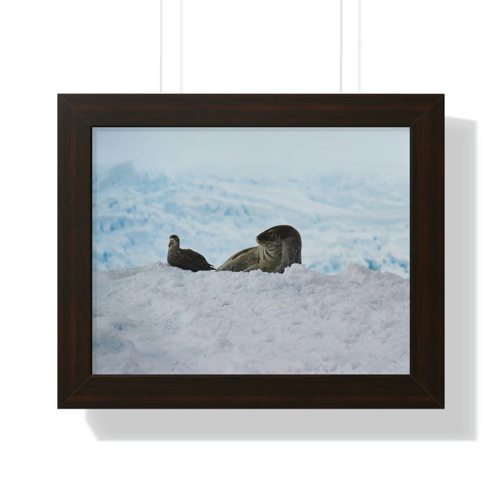 A Resting Pair - Framed Print - Visiting This World