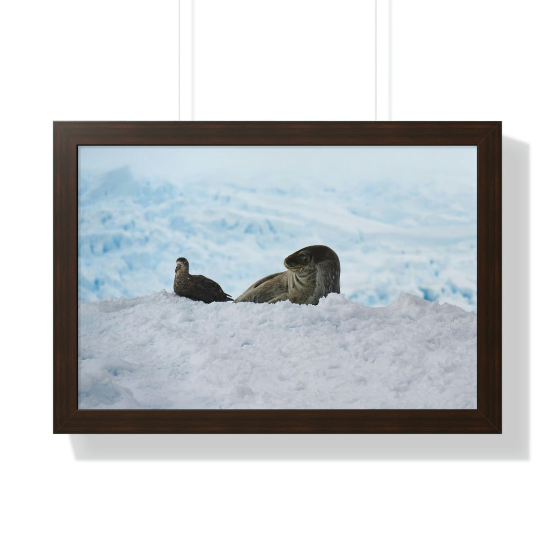 A Resting Pair - Framed Print - Visiting This World