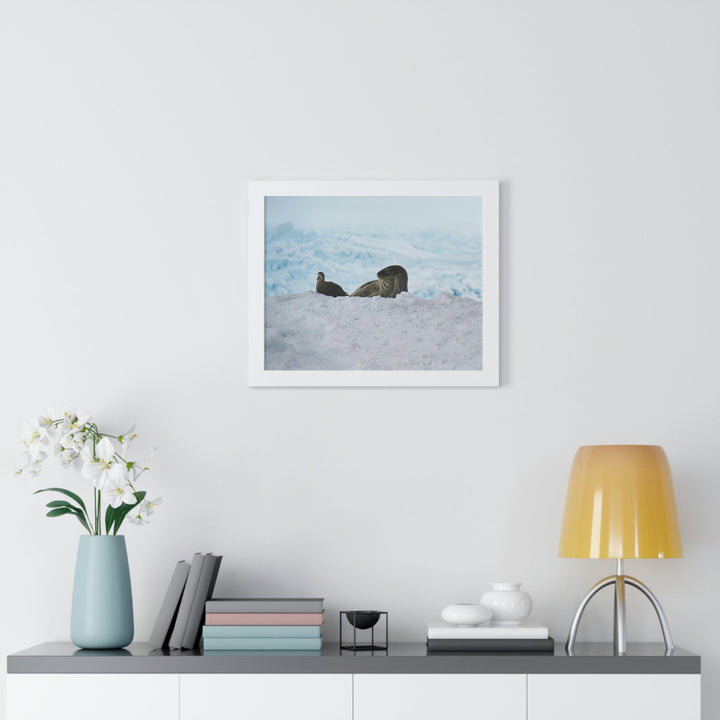 A Resting Pair - Framed Print - Visiting This World