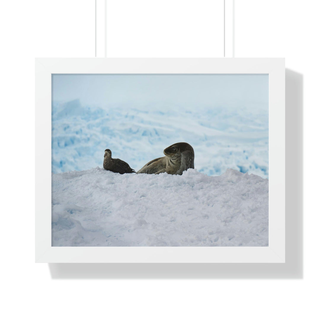 A Resting Pair - Framed Print - Visiting This World