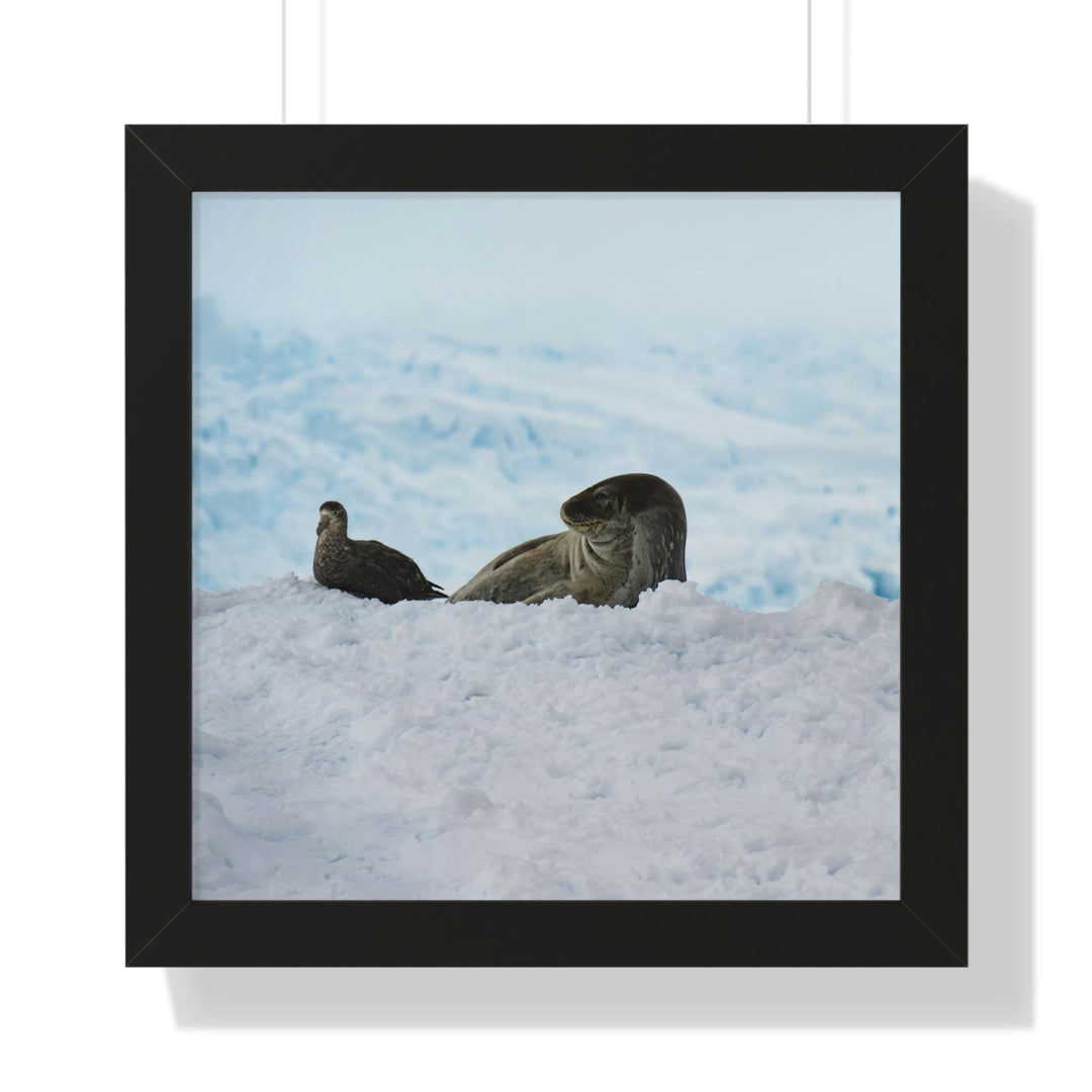 A Resting Pair - Framed Print - Visiting This World