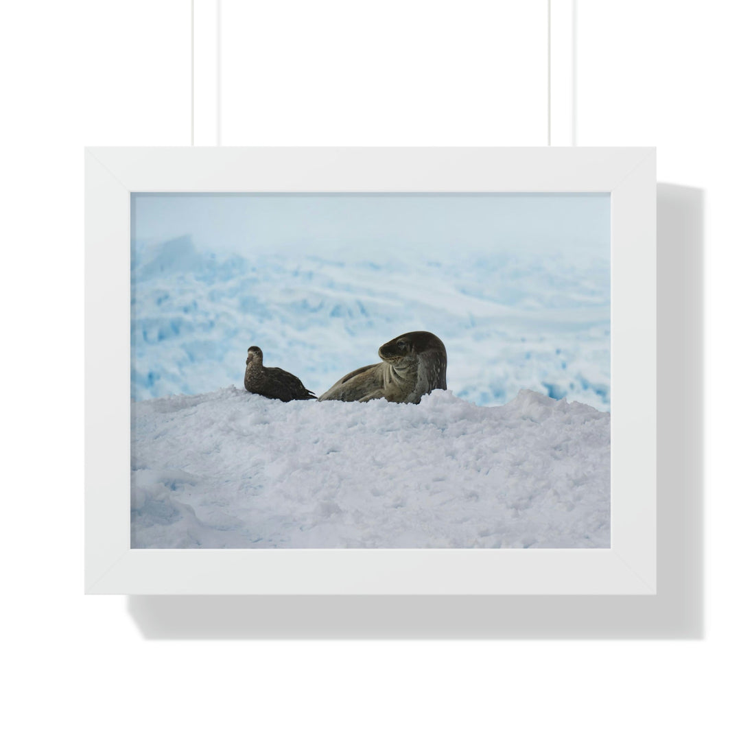 A Resting Pair - Framed Print - Visiting This World