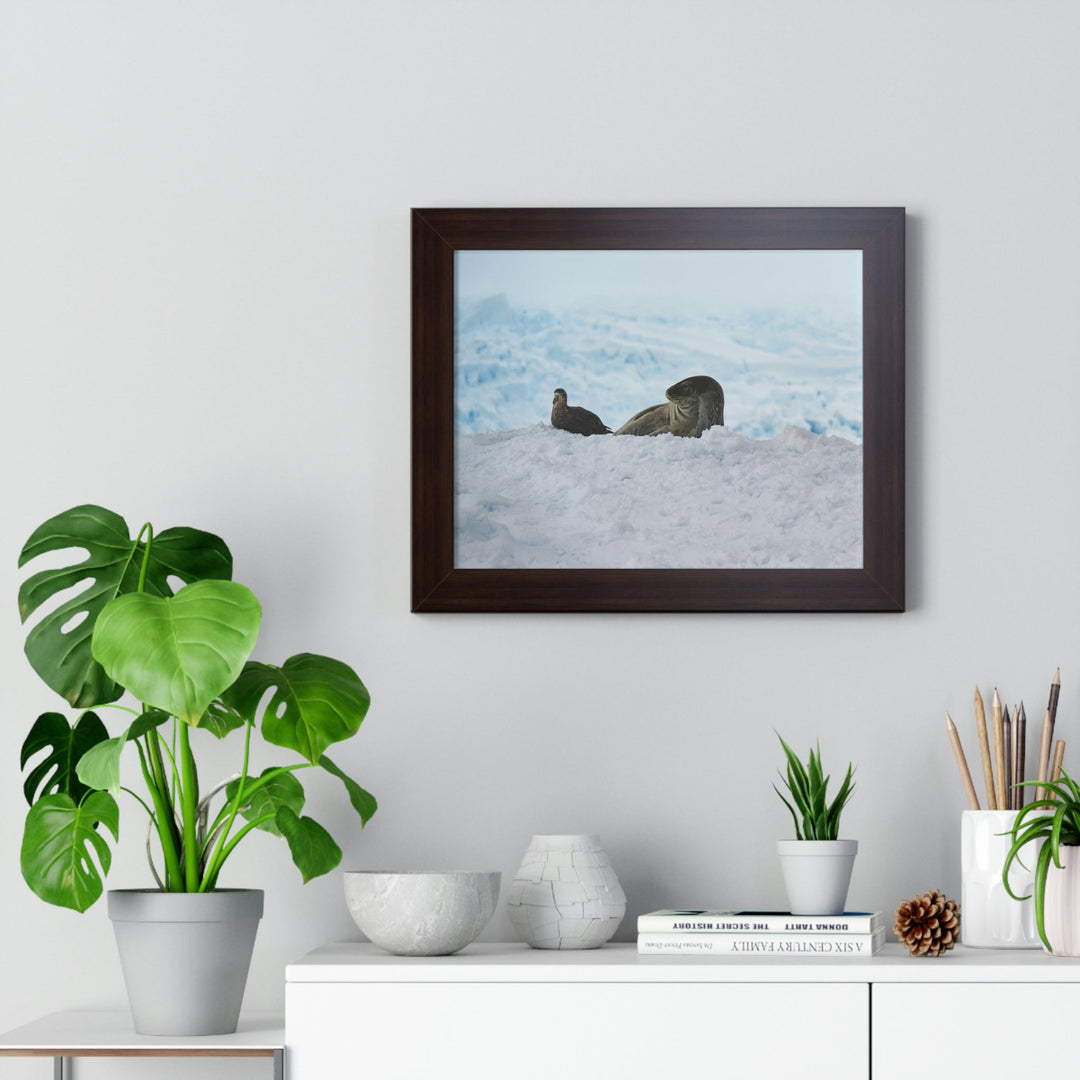 A Resting Pair - Framed Print - Visiting This World