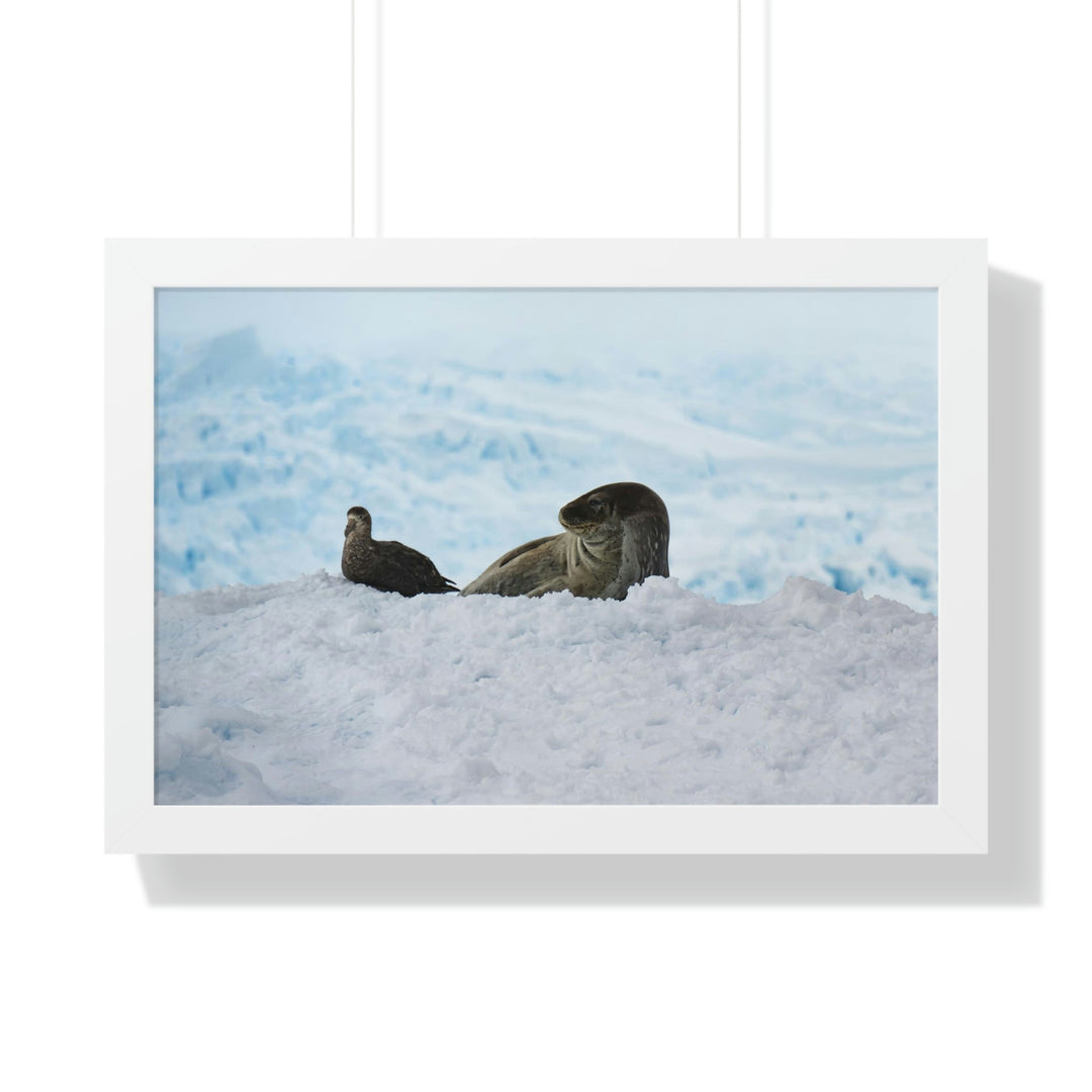 A Resting Pair - Framed Print - Visiting This World