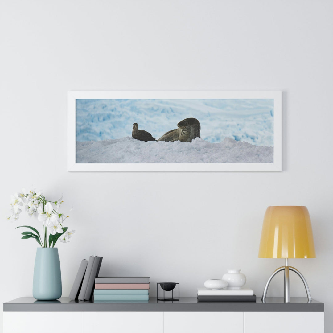 A Resting Pair - Framed Print - Visiting This World