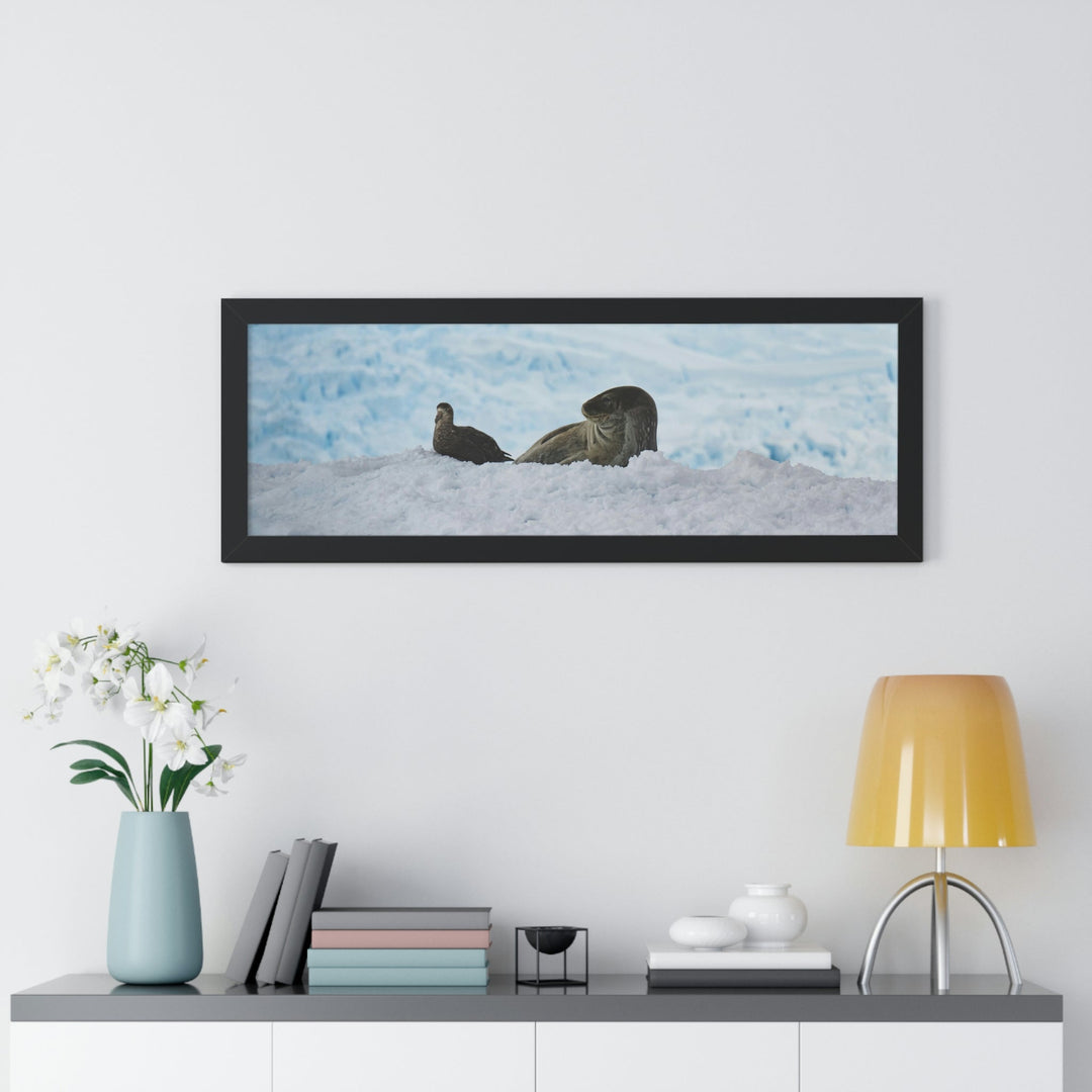 A Resting Pair - Framed Print - Visiting This World