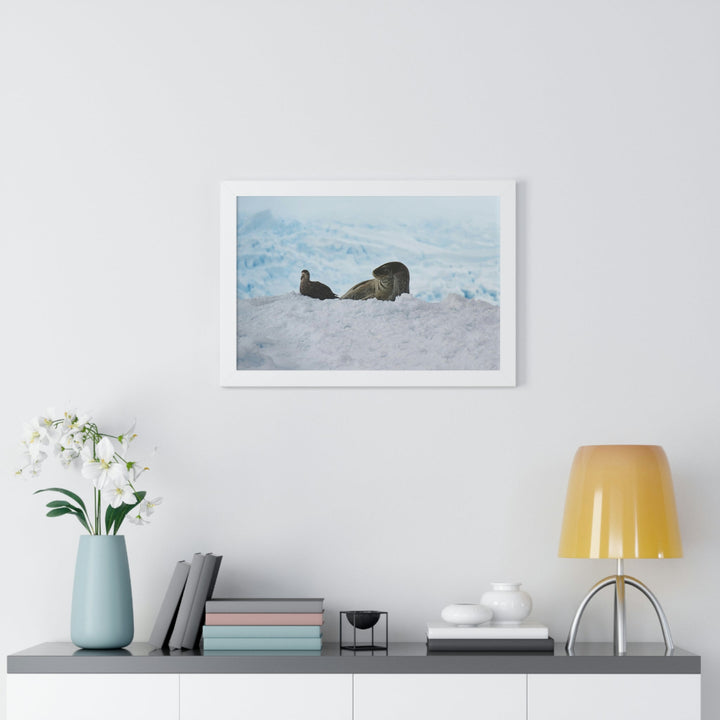 A Resting Pair - Framed Print - Visiting This World