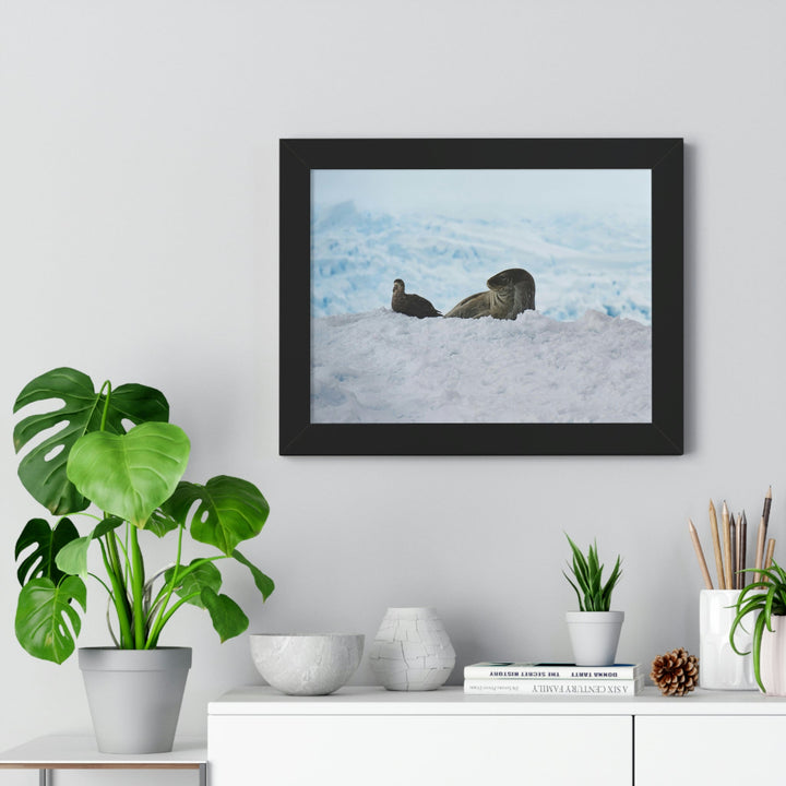 A Resting Pair - Framed Print - Visiting This World