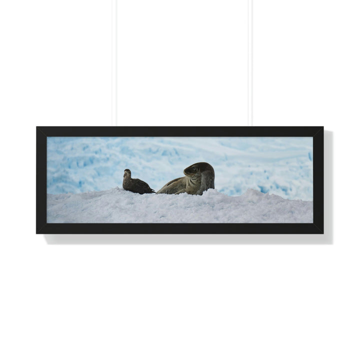 A Resting Pair - Framed Print - Visiting This World