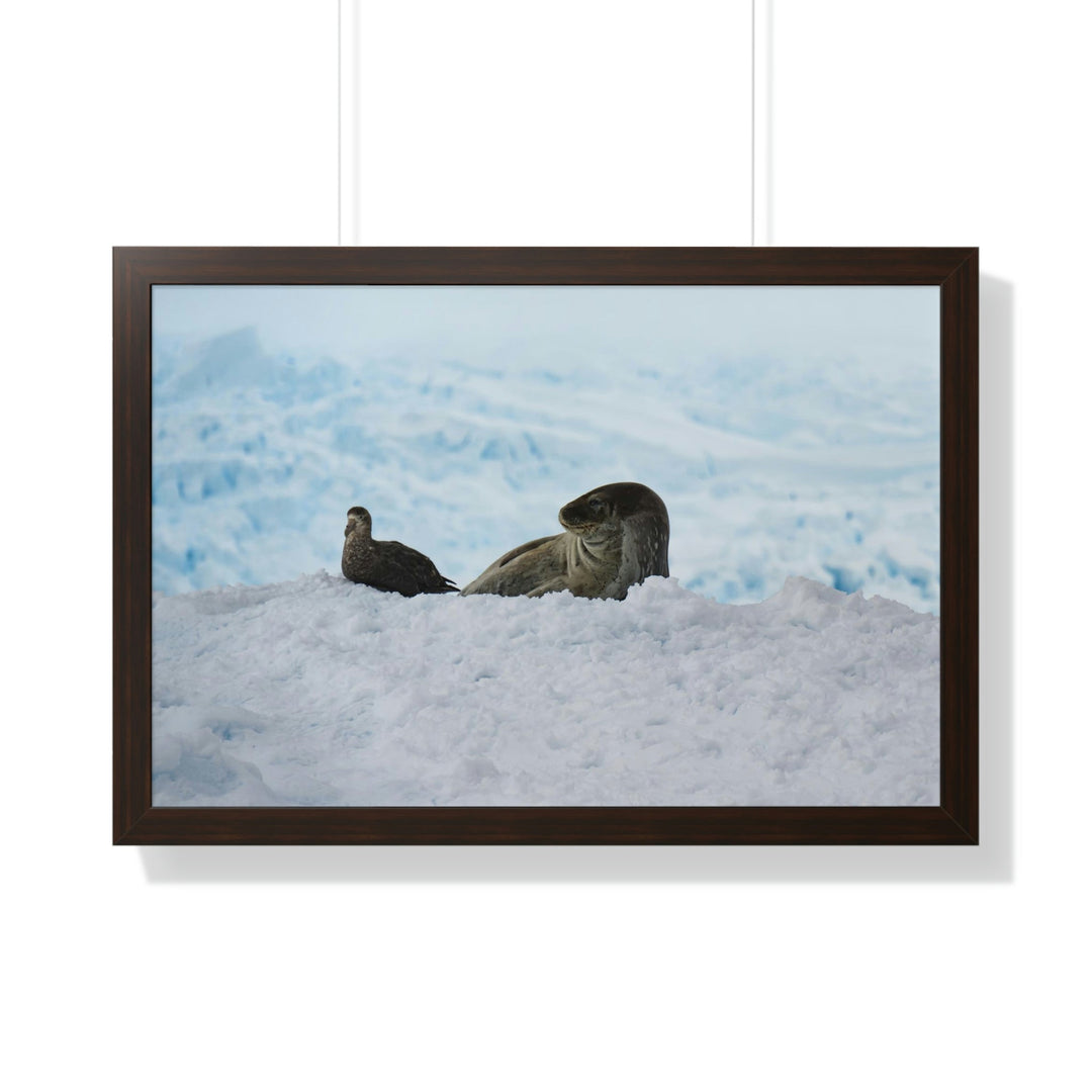 A Resting Pair - Framed Print - Visiting This World