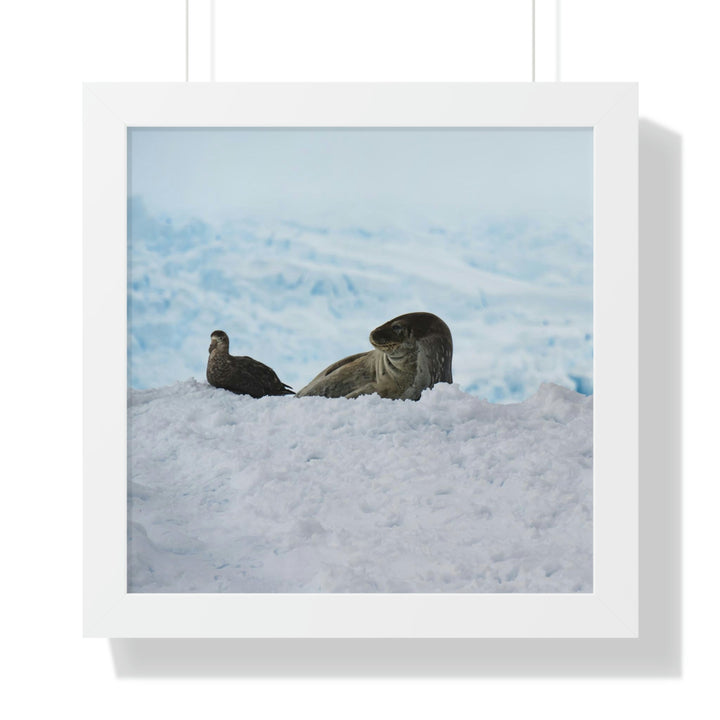 A Resting Pair - Framed Print - Visiting This World