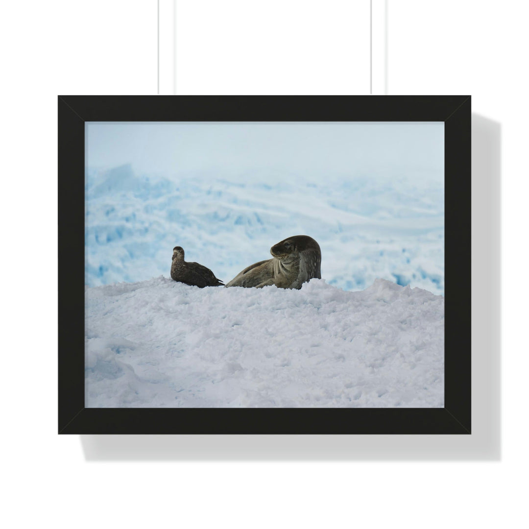 A Resting Pair - Framed Print - Visiting This World