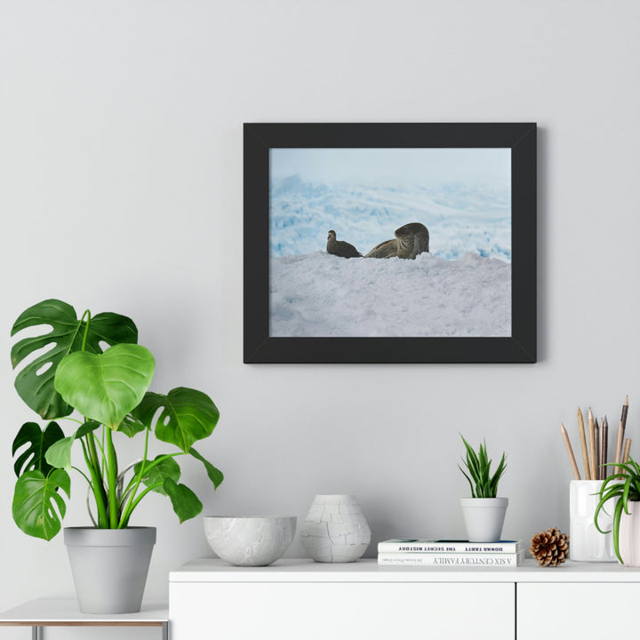 A Resting Pair - Framed Print - Visiting This World