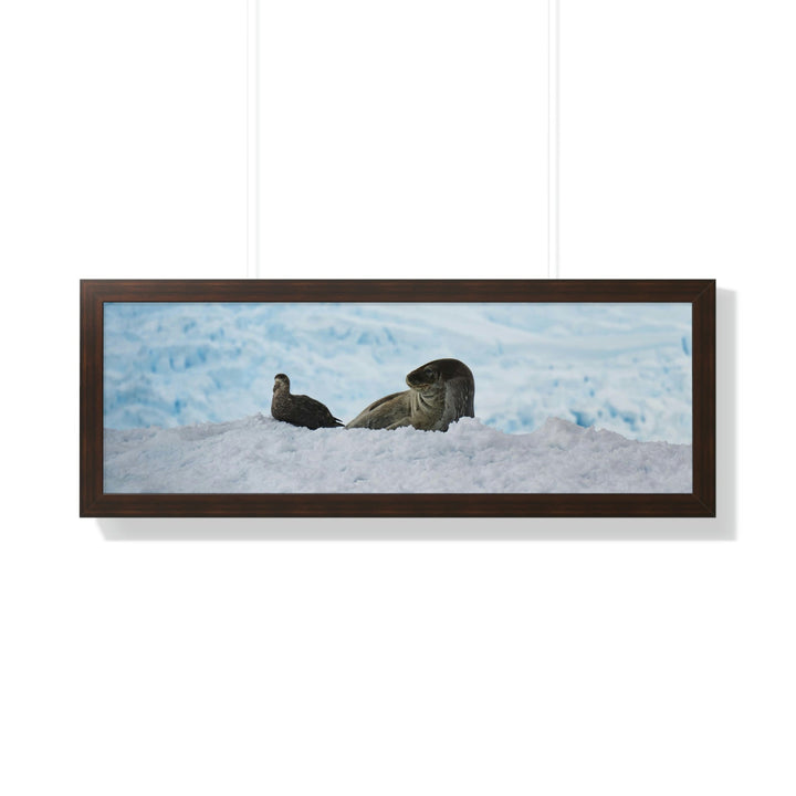 A Resting Pair - Framed Print - Visiting This World