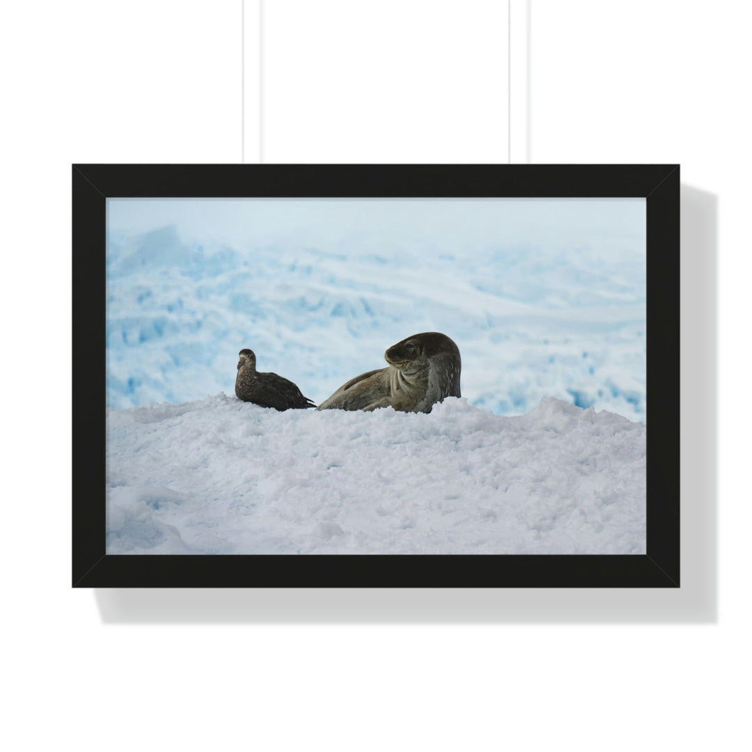 A Resting Pair - Framed Print - Visiting This World