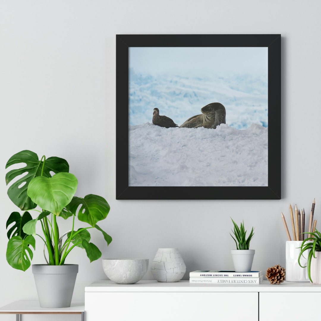 A Resting Pair - Framed Print - Visiting This World