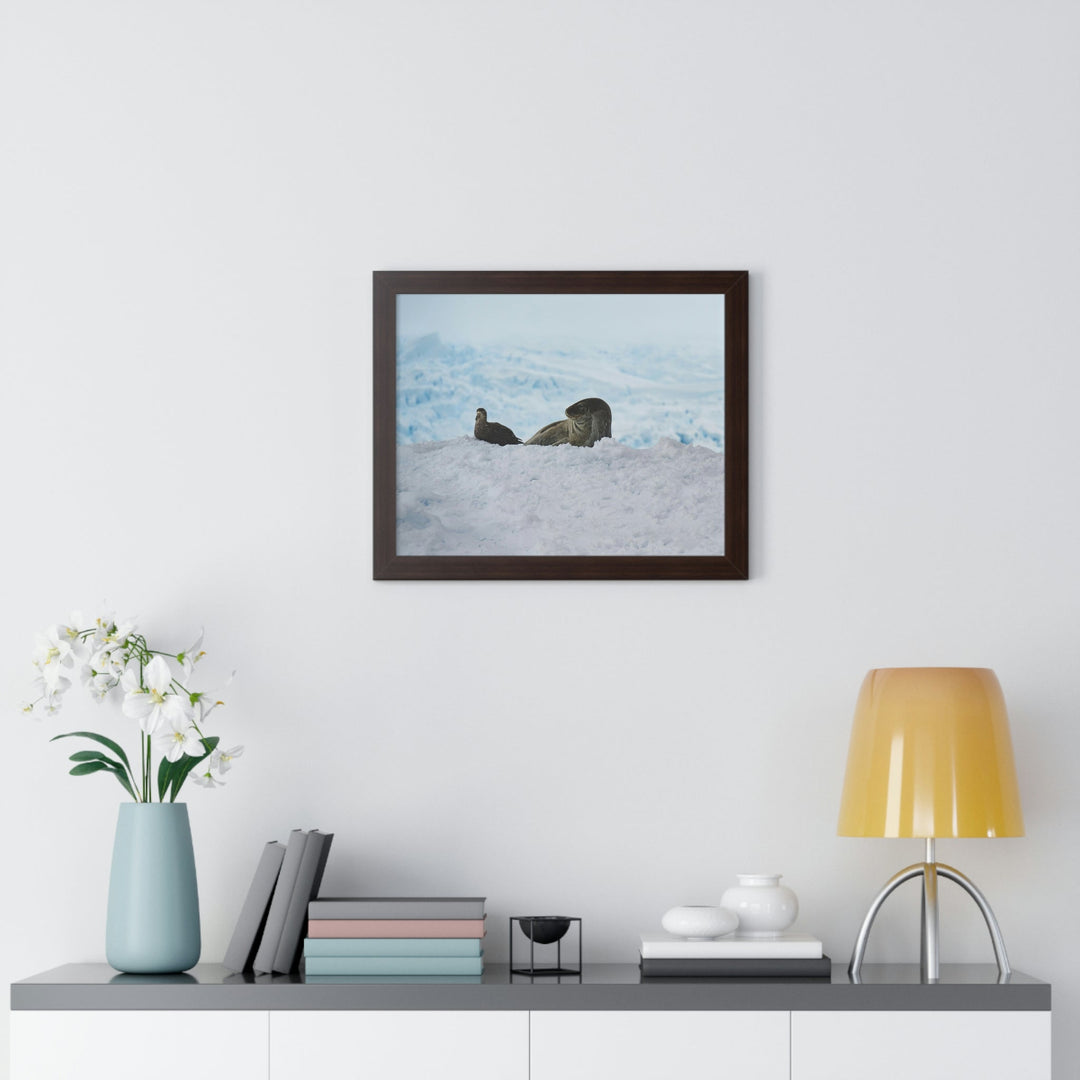 A Resting Pair - Framed Print - Visiting This World