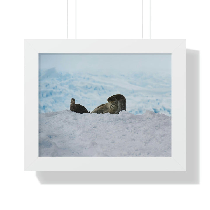 A Resting Pair - Framed Print - Visiting This World