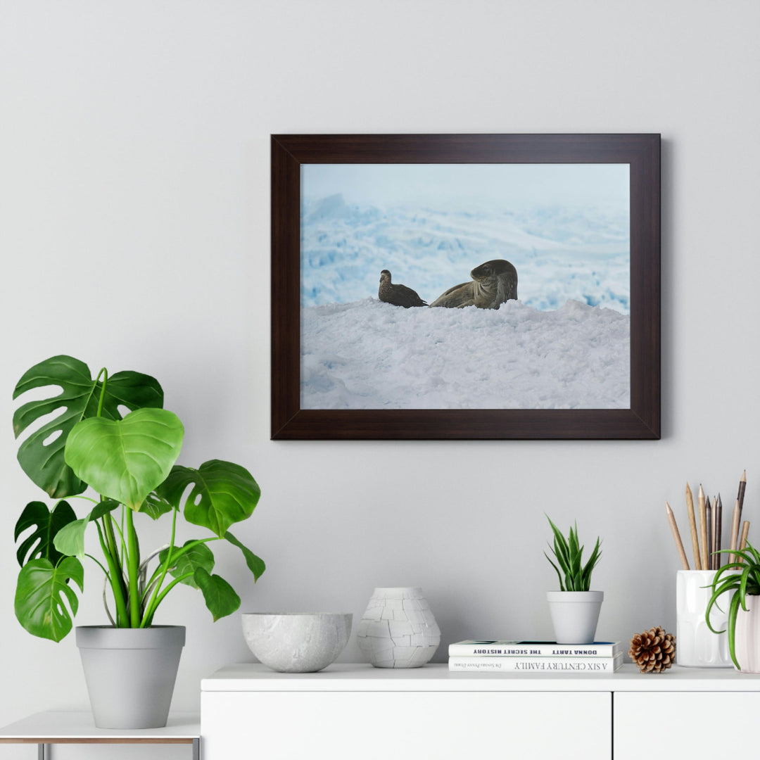 A Resting Pair - Framed Print - Visiting This World