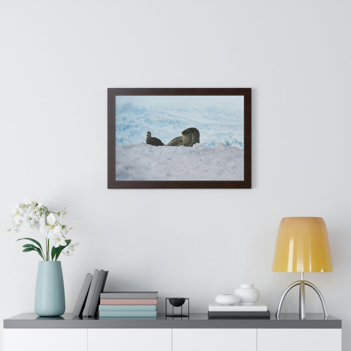 A Resting Pair - Framed Print - Visiting This World