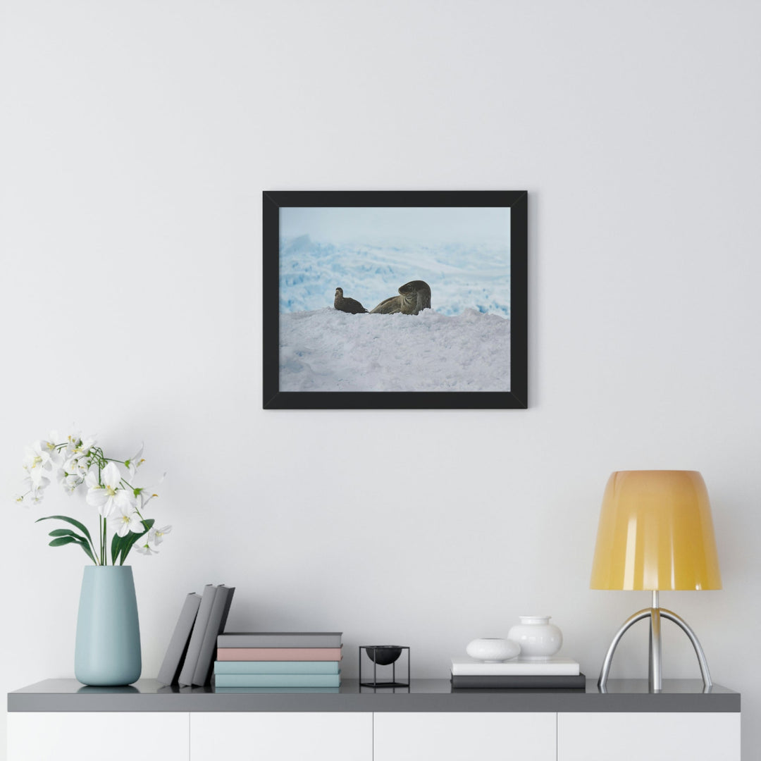 A Resting Pair - Framed Print - Visiting This World