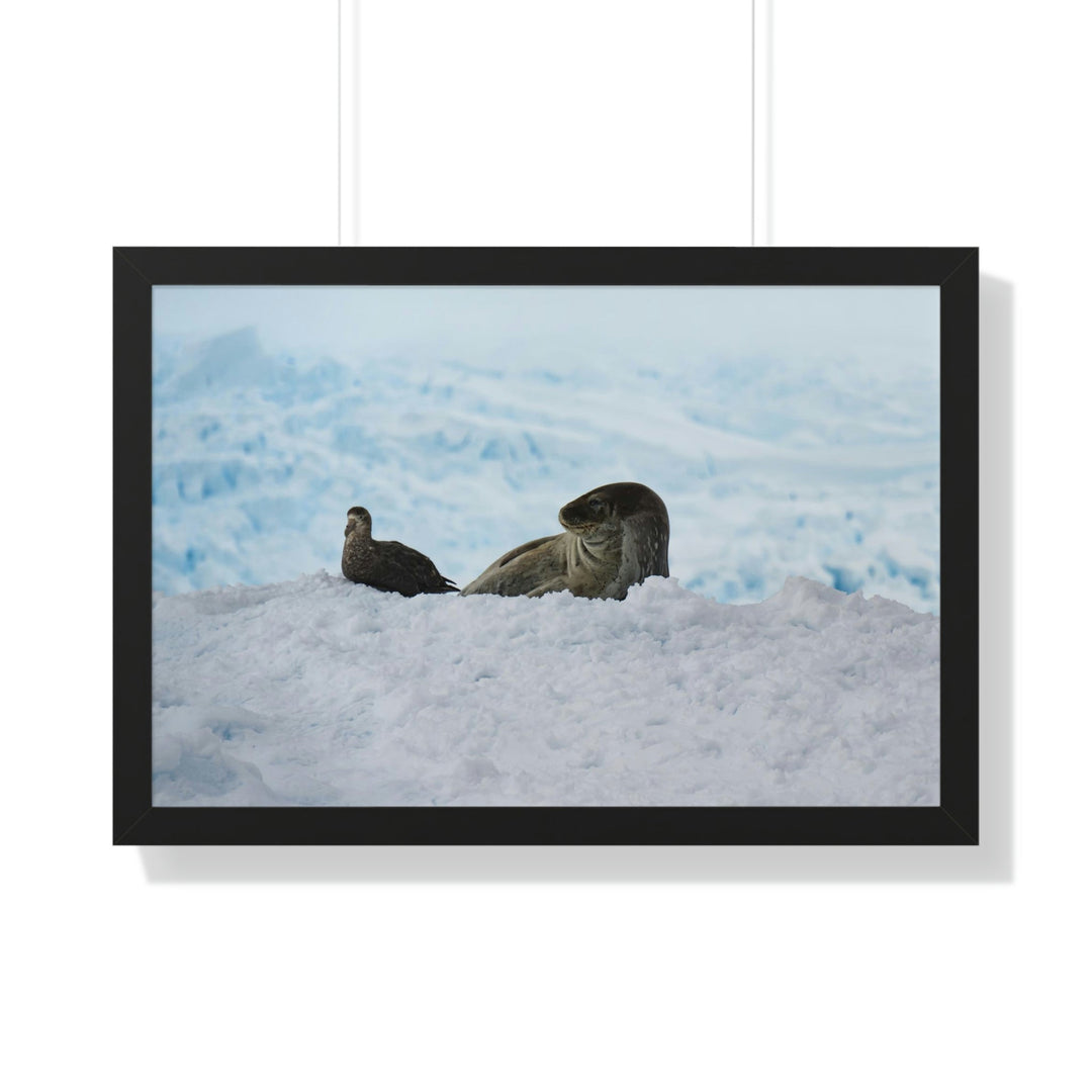 A Resting Pair - Framed Print - Visiting This World