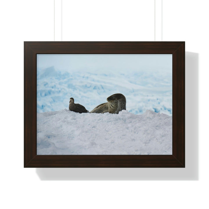 A Resting Pair - Framed Print - Visiting This World