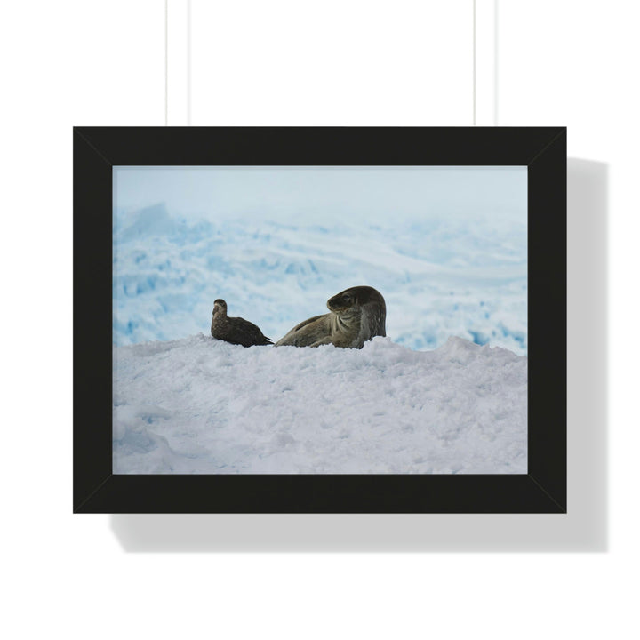 A Resting Pair - Framed Print - Visiting This World