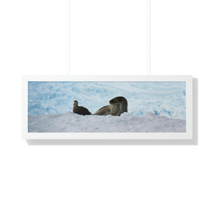 A Resting Pair - Framed Print - Visiting This World