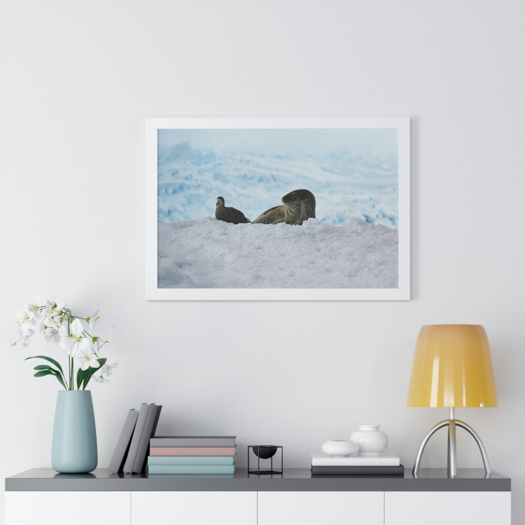 A Resting Pair - Framed Print - Visiting This World