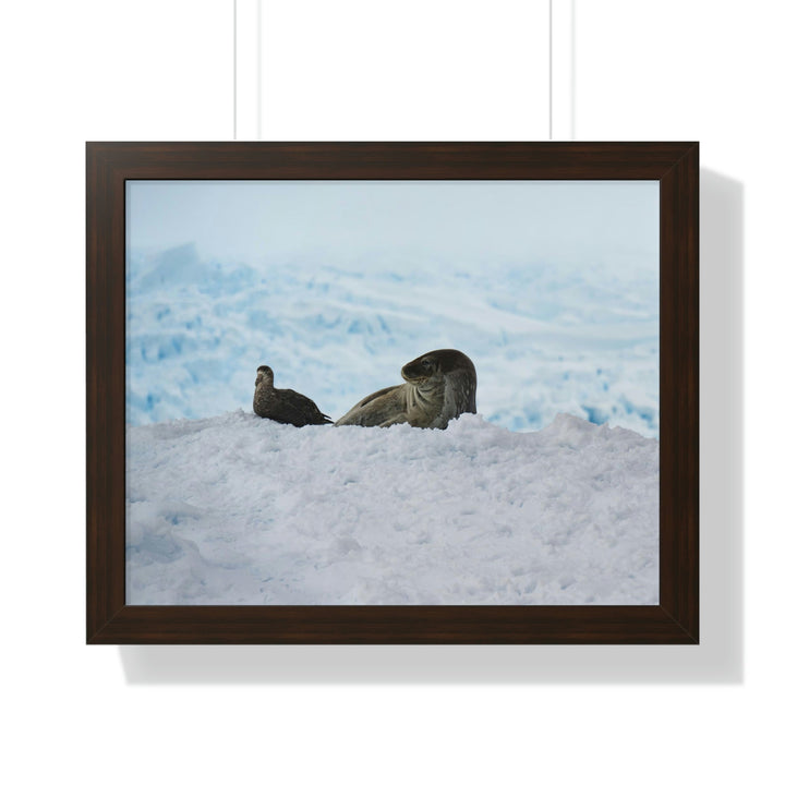 A Resting Pair - Framed Print - Visiting This World